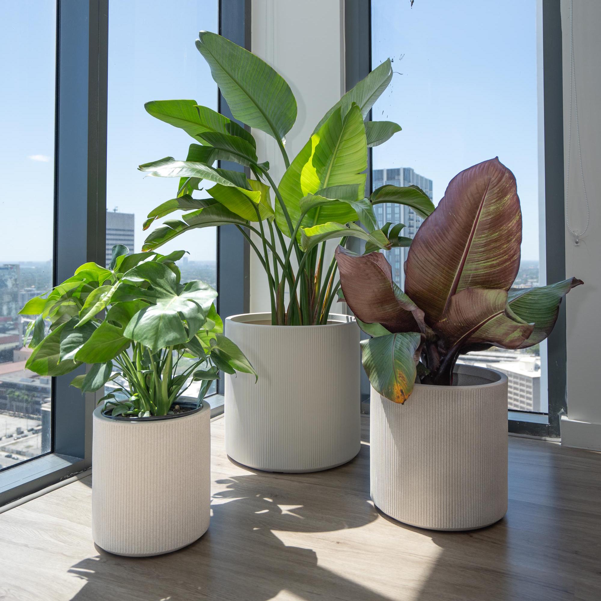 プランター 11インチ 14インチ 18インチ 大型プランター - イタリア製