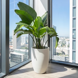 Planter 16 Inch 20 Inch Tall Planters -For Home Decor Minimalistic Modern Style Made In Italy - Pots for Large Plants Indoor or Outdoor