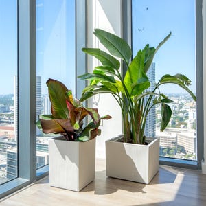 Übertopf 12 Zoll 16 Zoll Großer Moderner Übertopf - Für Innendekoration Made In Italy - Leichter Übertopf für den Innenbereich - Pflanzgefäße Für drinnen und draußen