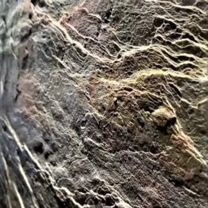 Può includere: Primo piano di una superficie rocciosa testurizzata di colore grigio con un motivo stratificato e striato. La roccia ha una superficie ruvida e irregolare con un leggero bagliore iridescente.