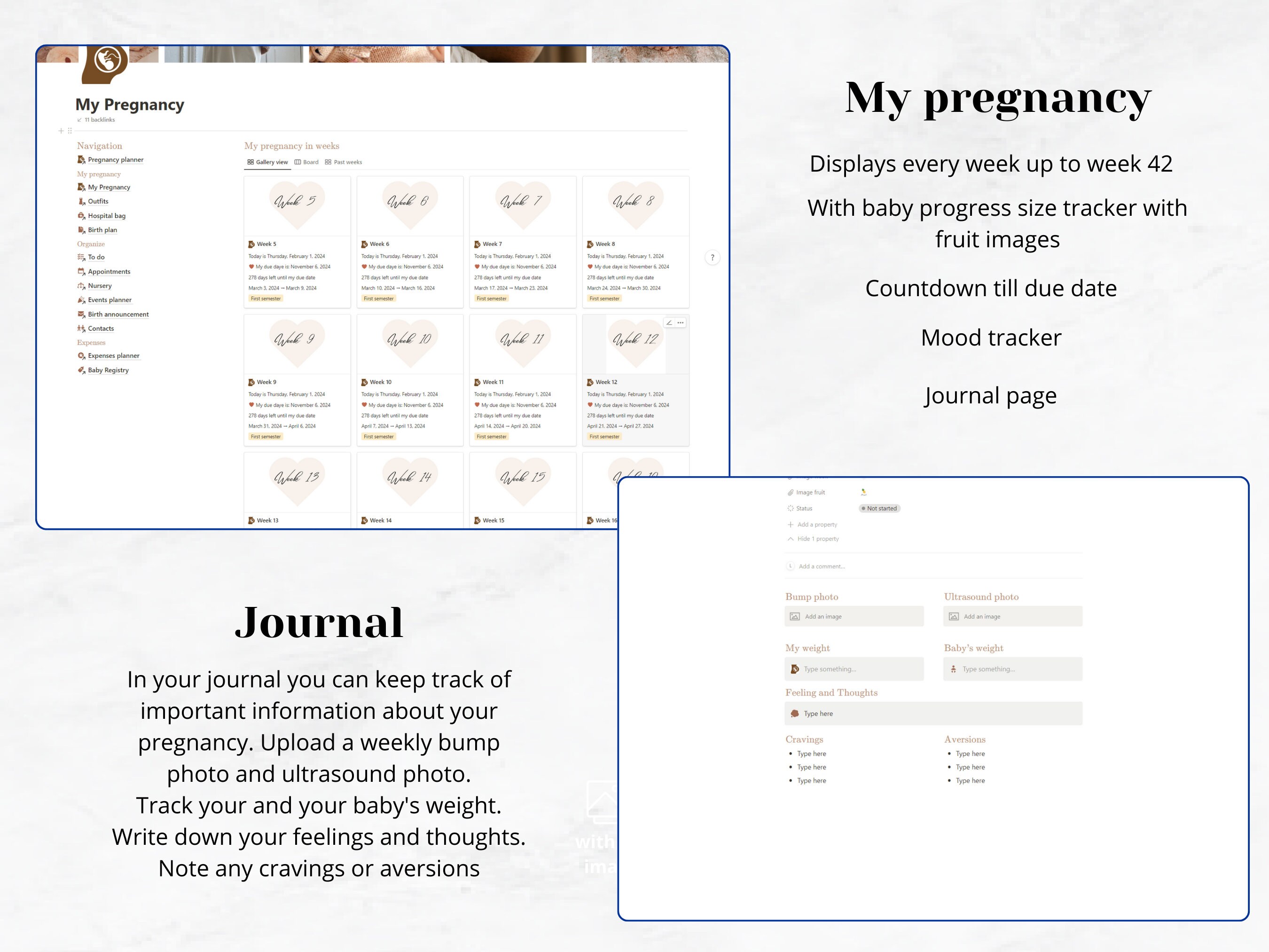 Pregnancy Planner Notion Template, Digital Pregnancy Journal & Nursery ...
