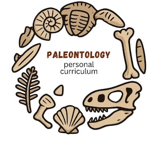 Puede incluir: Una portada de zine blanca con una disposición circular de fósiles de dibujos animados, incluyendo un cráneo de dinosaurio y huesos. El texto dice "PALEONTOLOGY personal curriculum" y "A self-led learning plan".
