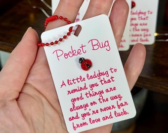 Handmade Pocket Bugs