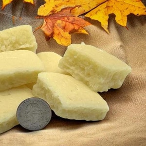 May include: A close-up of six white, square-shaped fudge candies on a brown fabric surface with fall leaves in the background. A silver coin is in the foreground.