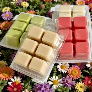 FEATURED Wax Melts Choose Fragrance 2.5oz Clamshell