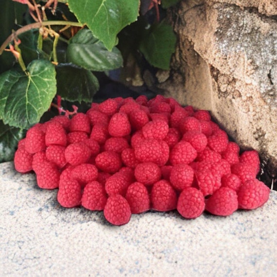 Raspberry Wax Melts: Scented Dessert Candle Decorations 30 Raspberries