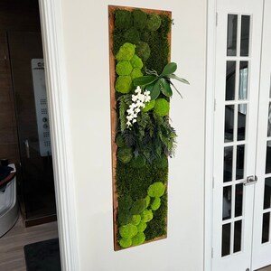 Moss Wall Art - Moss Art Framed - Living Wall - Preserved Ball Moss, Forest Moss, Preserved Ferns, Faux Orchid, Unique Moss Artwork