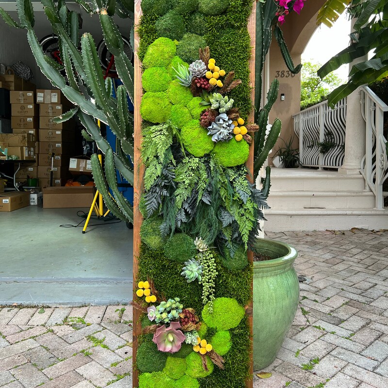 Moss Home Decor - Etsy