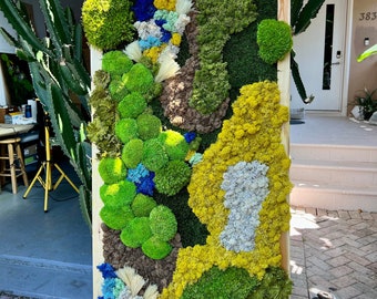 Preserved Moss Wall Art, Natural Framed Floral Decor, Biophilic Design