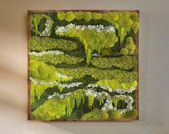 Handmade Preserved Moss Wall Art – Botanical Green Wall Decor