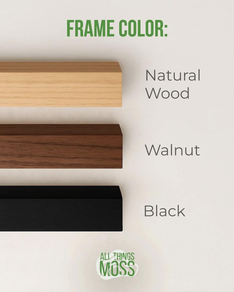 K&ouml;nnte beinhalten: Drei rechteckige Rahmenmuster, horizontal angeordnet. Der oberste Rahmen ist aus hellem Naturholz, der mittlere aus dunkelbraunem Walnussholz und der untere ist einfarbig schwarz. Der Text lautet FRAME COLOR: Natural Wood, Walnut, Black, ALL THINGS MOSS.