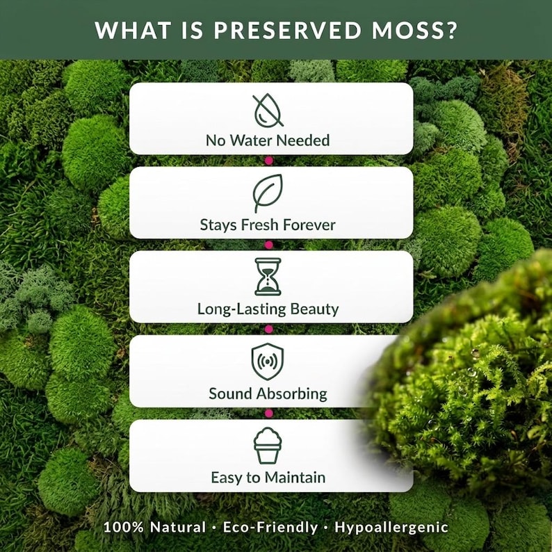K&ouml;nnte beinhalten: Ein Hintergrund aus gr&uuml;ner konservierter Mooswand mit einer Infografik mit dem Titel WHAT IS PRESERVED MOSS? und f&uuml;nf wei&szlig;en rechteckigen Etiketten mit Symbolen und Text: No Water Needed, Stays Fresh Forever, Long-Lasting Beauty, Sound Absorbing, Easy to Maintain.