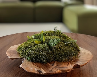 Preserved Moss Bowl – Natural Monkey Wood Centerpiece, Biophilic Decor