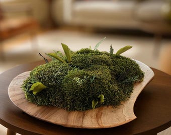 Preserved Moss Table Centerpiece – Monkey Wood Bowl, Indoor Decor