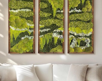 Peut inclure: Un ensemble de trois panneaux muraux rectangulaires verticaux composés de mousse préservée et de plantes succulentes dans des cadres en bois foncé. Les panneaux présentent diverses nuances de vert, du citron au vert forêt.