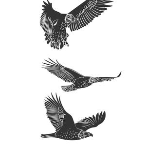 A collection of eagle and falcon silhouettes. Bird of Prey Silhouette Pack. Vector & Printable Files for Creative Projects.