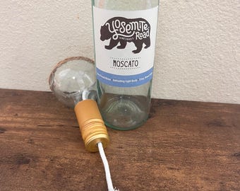 Self-Watering Glass Planter  - Recycled Wine Bottle with Twine Rim