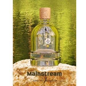 Eau de Parfum Mainstream 100ml Perfume for Men Luxurious Fragrance Amazing Gift for Him Perfume from the Factory Refreshing and Spicy Scent