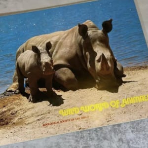 San Diego Wild Animal Park Souvenir Book Vintage 1975 MINT San Diego California Vintage San Diego Zoo 1970s Theme Park Wild World of Animals