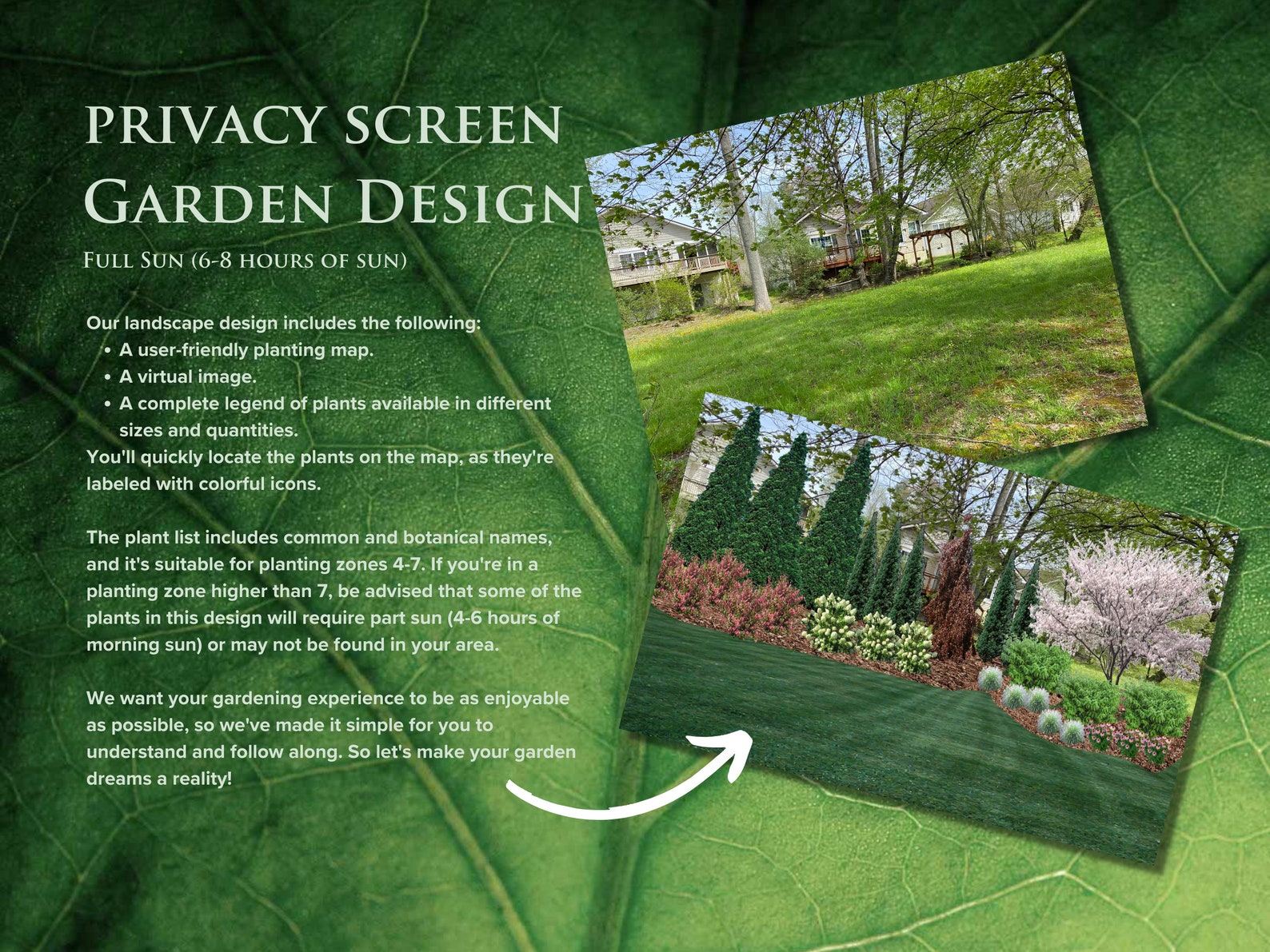 Privacy Screen Garden Plan | Planting Zone 4-7 - Etsy