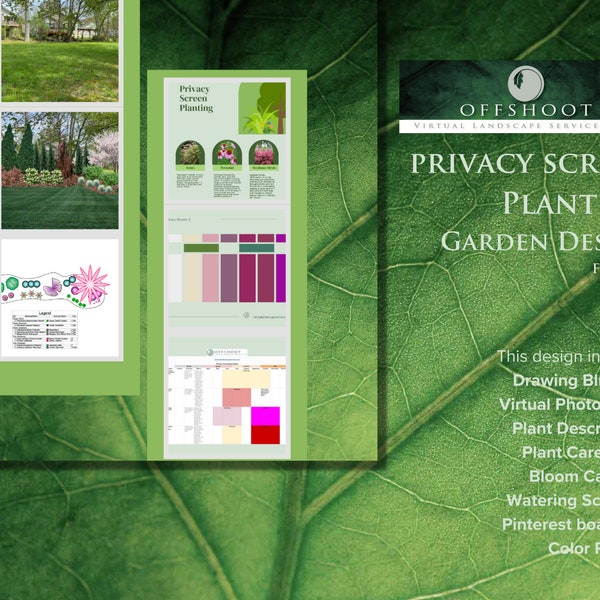 Privacy Screen Garden Plan | Planting zone 4-7