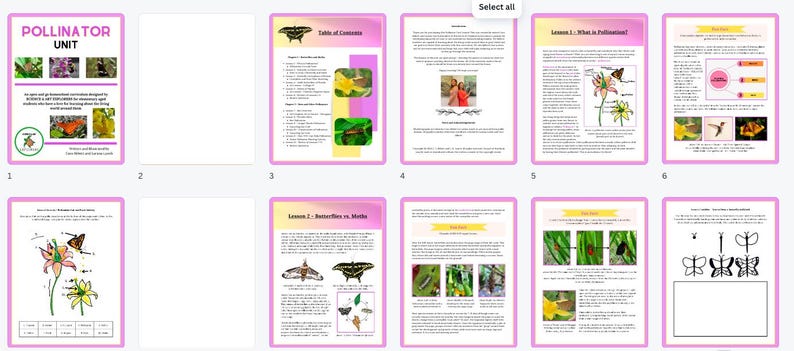 Pollinators Lesson Plan Florida Pollinators Unit (PRINT COPY) - Etsy