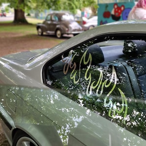 Puede incluir: Coche plateado con una calcomanía de llama en la ventana trasera. El coche tiene una rueda plateada con un diseño de cinco radios. El fondo incluye árboles y un vistazo a otros vehículos.