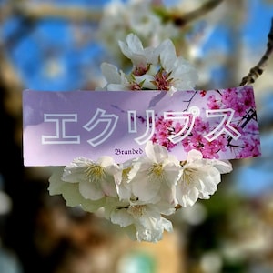 May include: A sticker featuring the text "エクリプス" with the word "Branded" underneath. The sticker is pink and white with a floral design. The sticker is hanging from a branch of a cherry blossom tree.