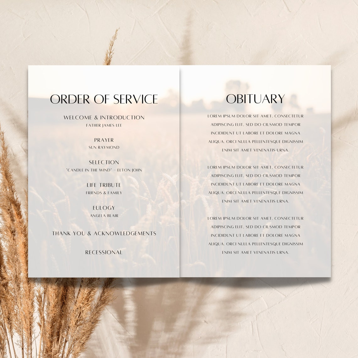 Editable Funeral Program Template, Template Celebrating the Life of ...