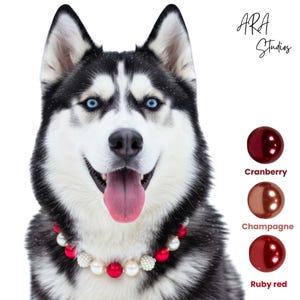 May include: A Siberian Husky with striking blue eyes and a beaded necklace featuring red and white accents. The image also displays three color options: Cranberry, Champagne, and Ruby Red. The text "ARA Studios" is in the upper right corner.