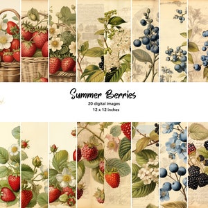 Papier cyfrowy Summer Berries, truskawka, borówka, malina, jeżyna, czarny bez strony dziennika do druku 12 x 12 cali natychmiastowe pobranie