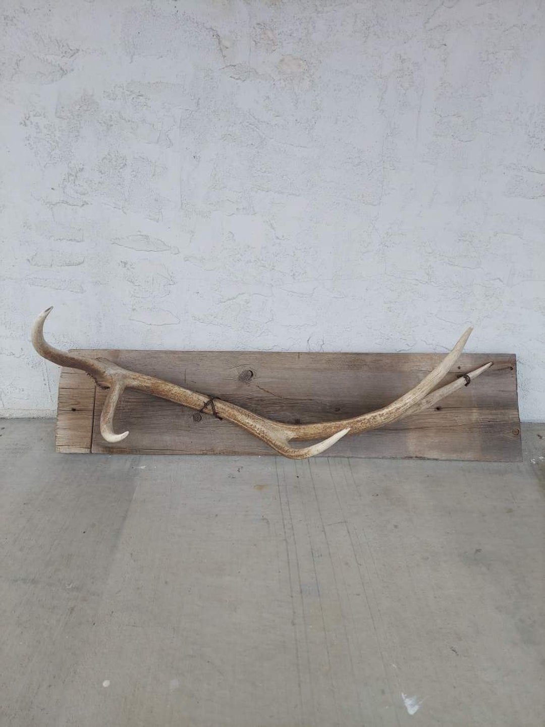 Small Elk Rack Elk Shed Towel Rack/coat Rack - Etsy