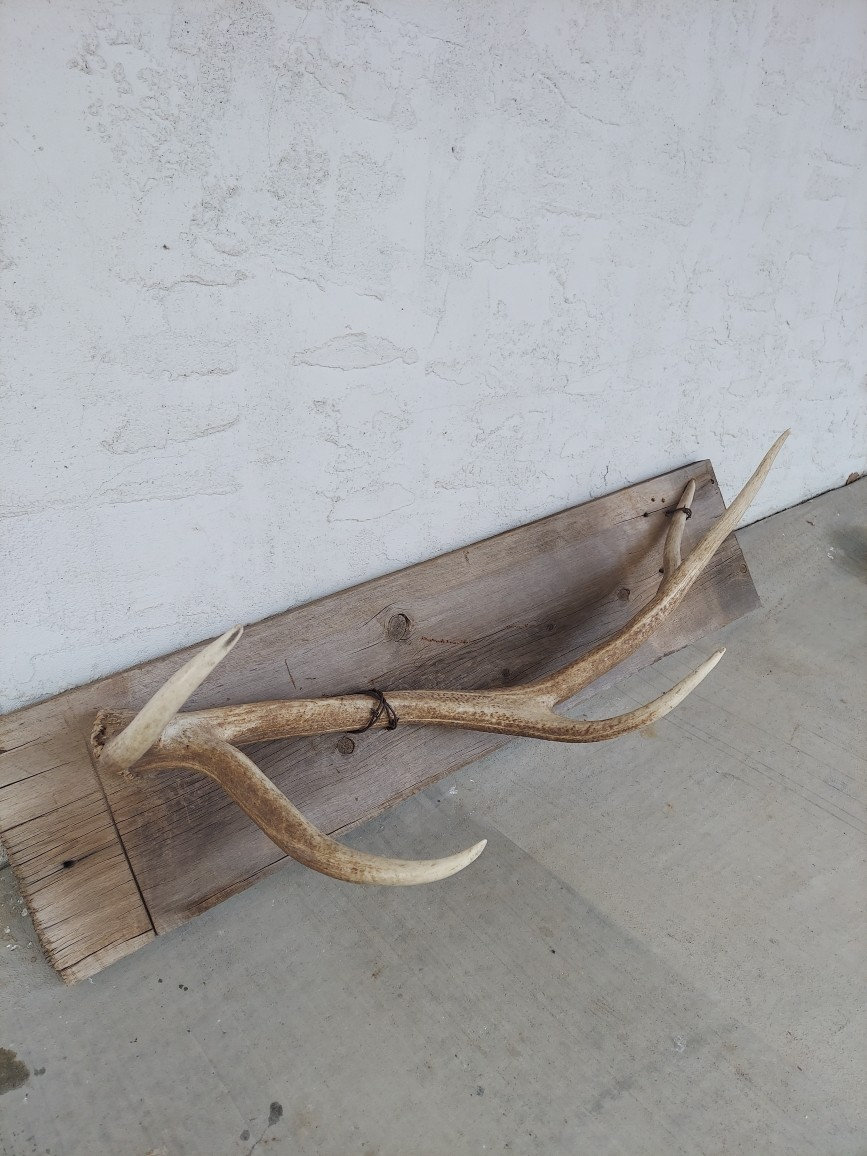 Normal Elk Rack Elk Shed Towel Rack/coat Rack - Etsy