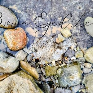 Petoskey Stone