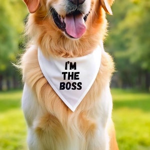Dog Bandana, Funny Dog Bandana, I&#39;m The Boss, Dog Bandana, Cute Dog Bandana, Gift For Pet, Gift For Dog, Dog Clothing, Cute Bandana
