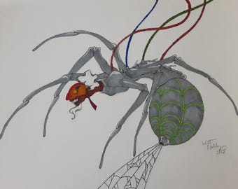 Anansi the Spider 2