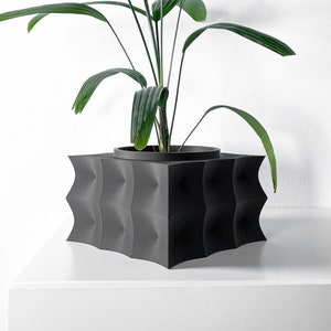 Peut inclure: Une plante verte aux feuilles longues et étroites dans un pot noir géométrique. Le pot a un design texturé et ondulé.