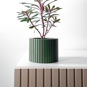 Op de afbeelding: Een groene plantenpot met verticale groeven bevat een kleine plant met groene bladeren en roze stengels. De pot staat op een wit oppervlak met een licht houtnerfpatroon.