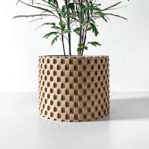 May include: A green leafy plant in a beige planter with a geometric pattern. The planter is made of a textured material and has a cylindrical shape.
