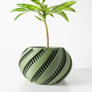 Krato kruka STL-fil: 3D-utskrift av heminredning (digital nedladdning)