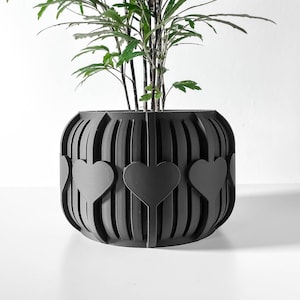 May include: A black planter with a heart-shaped design, featuring a green leafy plant.