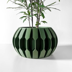 May include: A green planter with a geometric design, featuring a plant with long, thin leaves.