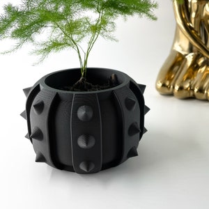 Peut inclure: Un pot noir à picots avec une plante verte à l'intérieur. Le pot est rond et fait d'un matériau texturé.