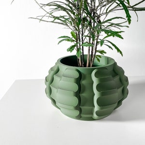 Może przedstawiać: Zielona, teksturowana, okrągła doniczka z zieloną, liściastą rośliną rosnącą w środku. Doniczka ma unikalny, geometryczny wzór z wypukłymi żebrami.