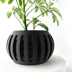 May include: A black, round planter with vertical grooves, holding a green leafy plant.