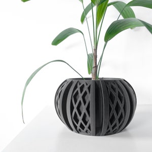 以下が含まれることがあります： 緑の葉を持つ植物が入った黒い幾何学的なプランター。プランターは格子模様のユニークなデザインです。