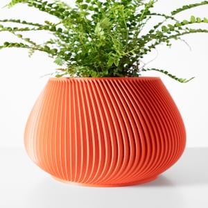 May include: A bright orange, ribbed ceramic planter with a green fern plant growing inside.