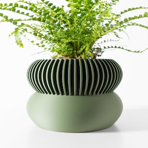 May include: A green fern plant in a two-part, olive-green planter. The top section has vertical, curved slats, while the bottom is a smooth, rounded base. The plant has vibrant green, delicate fronds, creating a striking contrast with the planter's design.
