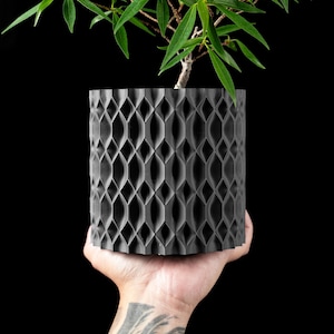 May include: A dark gray, cylindrical planter with a geometric pattern, holding a small green plant. The planter is held in a hand against a black background. The plant has long, slender green leaves.