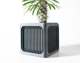 Puede incluir: Un macetero gris en forma de cubo con un patrón geométrico en los lados. Una pequeña planta espinosa con hojas verdes está creciendo en el macetero.